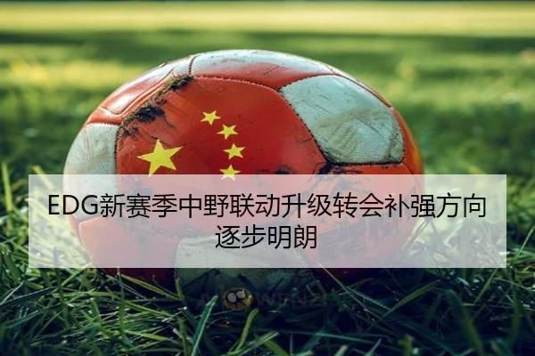 EDG新赛季中野联动升级转会补强方向逐步明朗